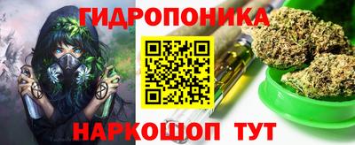 крисы Дубна