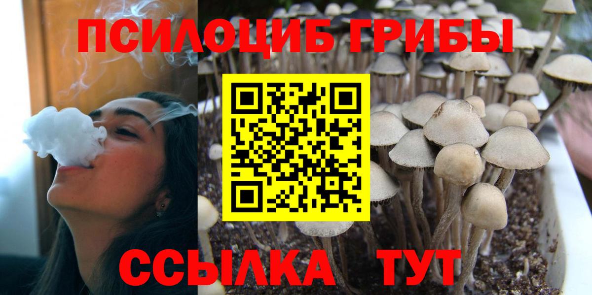 Кушва  Псилоцибиновые грибы MAGIC MUSHROOMS  Вход с VPN 
